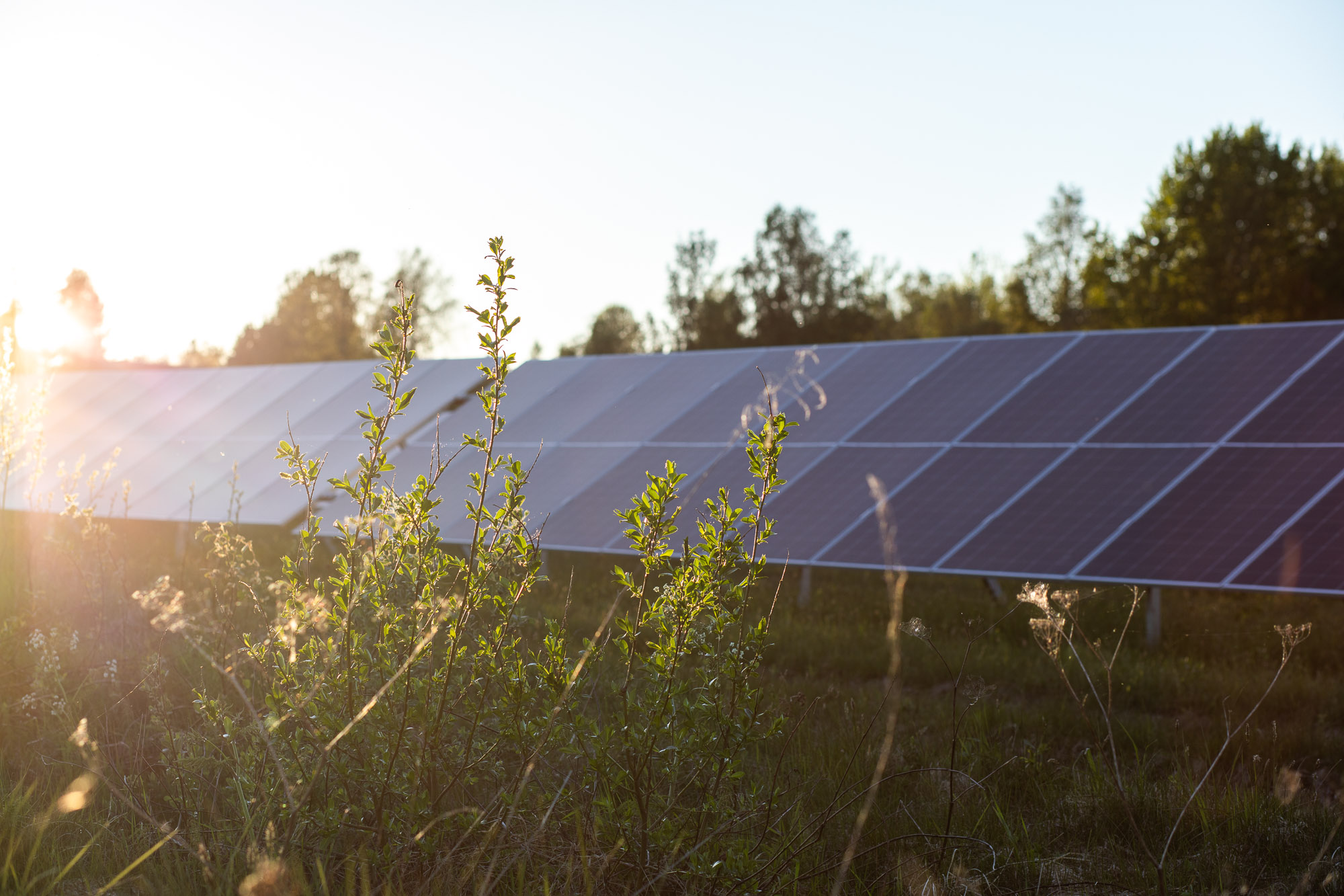 Sjögervål, Åmotsfors – 710 kW